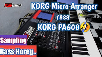 TES SAMPLING Mirip pa600 // KORG MICRO ARRANGER
