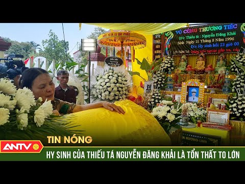 Tiếc thương đồng