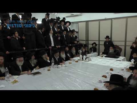 עו"ד דוד זעירא - מודז'יץ - ניגון מכלכל חיים לרבינו ה"אמרי שאול" זצוק"ל