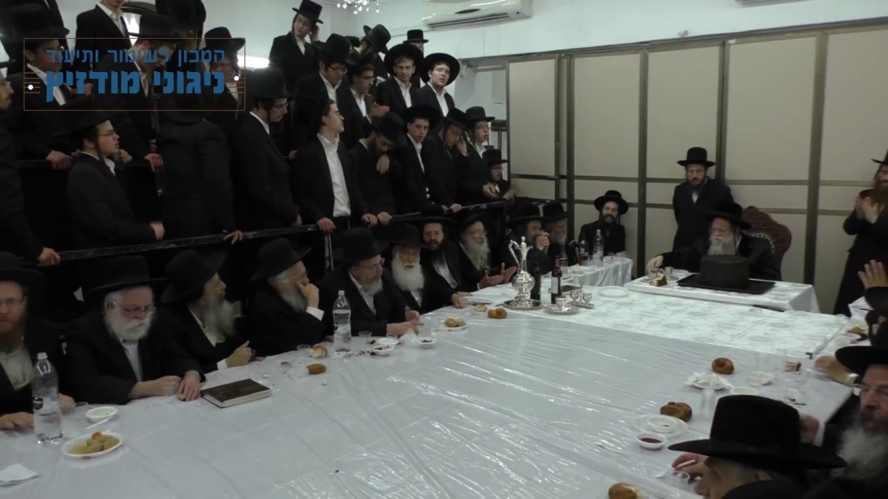 עו"ד דוד זעירא - מודז'יץ - ניגון מכלכל חיים לרבינו ה"אמרי שאול" זצוק"ל