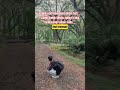 Kopi Kenangan #ella #viral #kopi #kenangan #musik #beranda #fyp #fypviral #shorts #shortsvideo