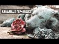 ПАРИЖ. Кладбище Пер-Лашез (Père Lachaise) - Шопен, Оскар Уайльд, Джим Моррисон. Серия 7