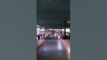 Amazing Automatic Fish Processing Line Machines Modern Technology#1 #shorts