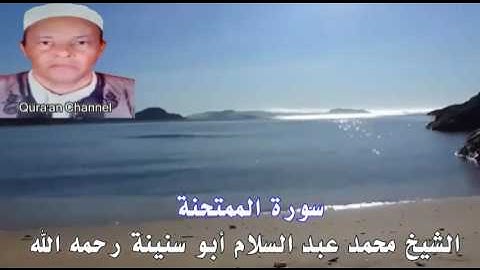 سورة الممتحنة  محمد أبو سنينة برواية قالون
