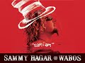 "Sam I Am" - Sammy Hagar & The Wabos Official Music Video (Remastered & 4K)