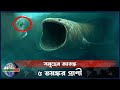 গভীর সমুদ্রের সবচেয়ে ভয়ংকর প্রাণী | Top 5 Dangerous Animals in Ocean | BW Bangla Doc