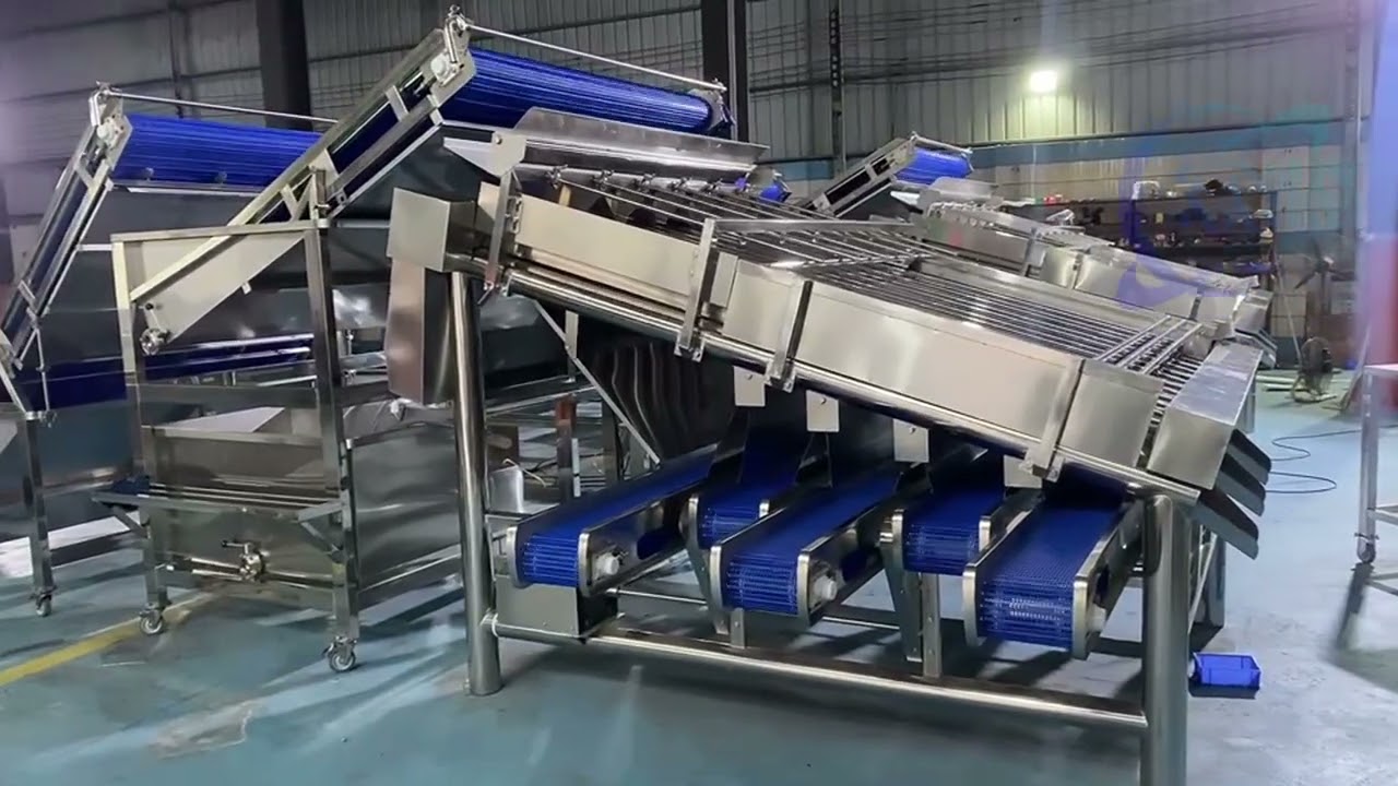 Seafood Processing Equipment Shrimp Sorting Machine Shrimp Size Automatic Grading Machine