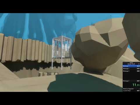 The Witness No