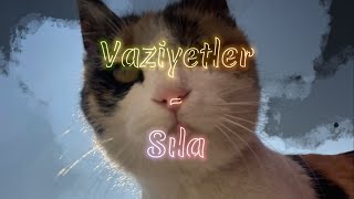 Vaziyetler - Sıla, lyrics and English translation Resimi