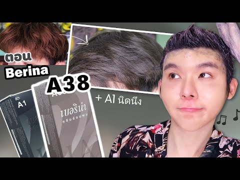 ย้อมสีผม ย้อมผมเอง รีวิว เบอริน่า A38 + A1 , ย้อมผมสีเทา สีประกายเทาหม่น , berina A38 Dye gray hair