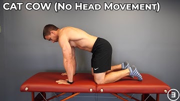 Cat Cow (No Head Movement) | Spine Range of Motion | Flexion & Extension