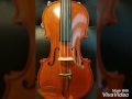 Matteo Mazzotti italy violin 2017 (Strad Messiah model)