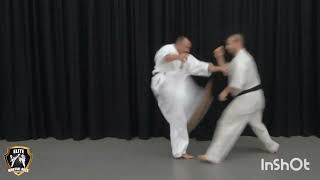 martial arts wko shinkyukushin karate 🥋 kicks and fights combination