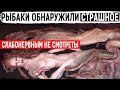 НАХОДКА НА БЕРЕГУ МОРЯ, ОТ КОТОРОЙ КР0ВЬ В ЖИЛАХ СТЫНЕТ!!! (19.06.2020) ДОКУМЕНТАЛЬНЫЙ ФИЛЬМ HD