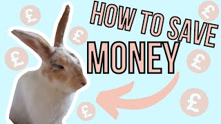 Top Nine Rabbit Money Saving Hacks Peanut The Pirate Bunny