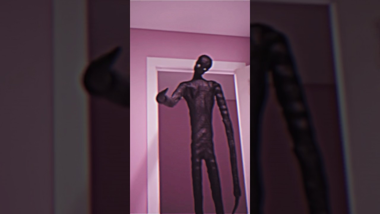 Новое обновление «Escape the Backrooms» уже здесь! 