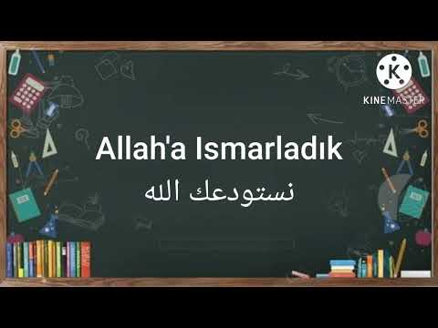 عبارات الوداع في اللغة التركية 