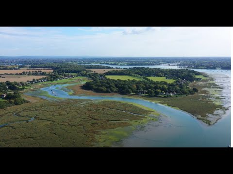 Return of the Tern Nature Recovery Project- Chichester Harbour AONB