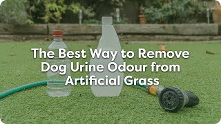 The Best Way to Remove Dog Urine Odour from Artificial Grass screenshot 2
