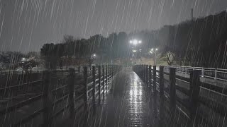 11 Hour ASMR Rain Sounds for Deep Sleep | Suwon Seoho Park Night Walk