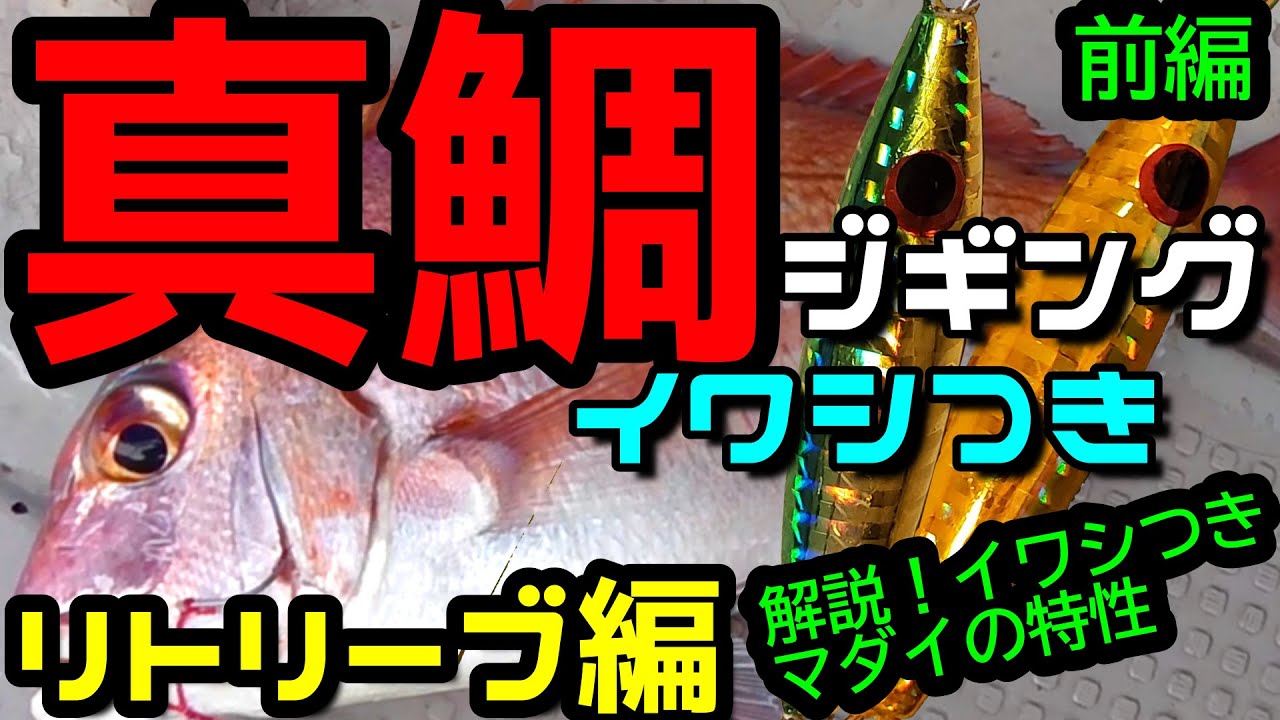 真鯛ジギング 初心者必見 イワシつき真鯛の習性とは Youtube