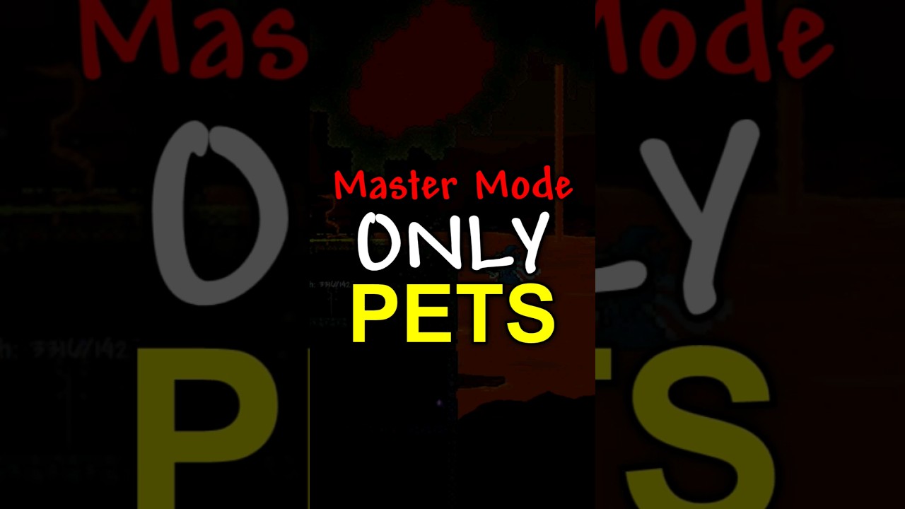 Terraria's Master Mode Pets Tier List (part 2) #terraria #terrariaguid