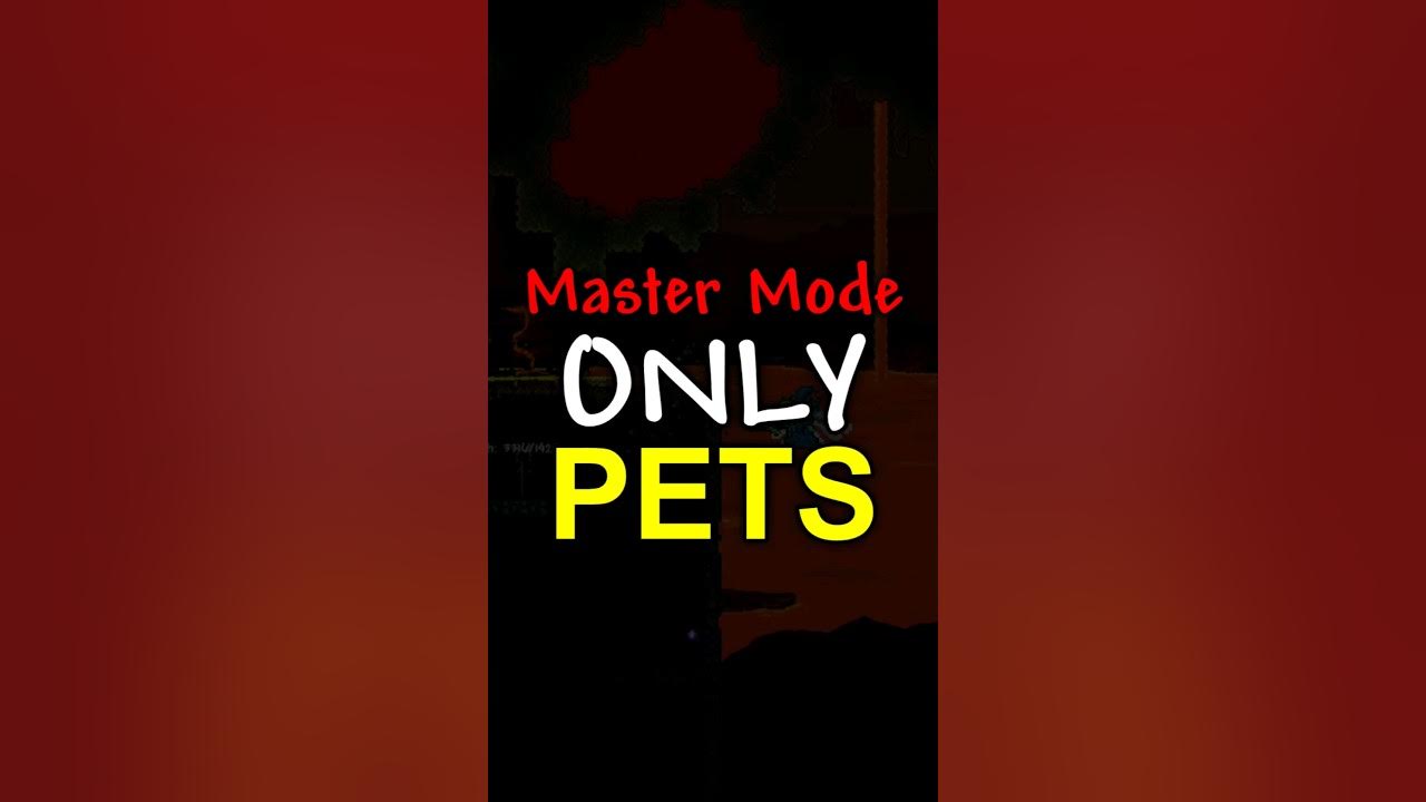Terraria's Master Mode Pets Tier List (part 2) #terraria #terrariaguid