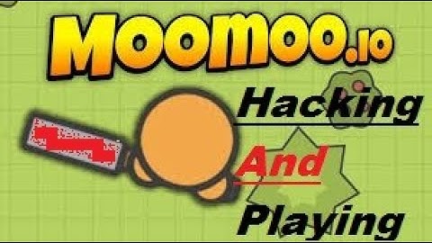 IF Pro-Hacker Plays MooMoo.io