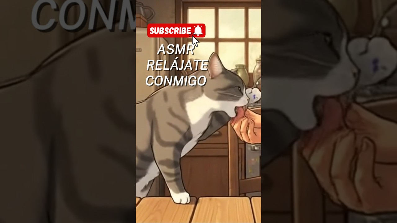 ASMR GHIBILI #ghibili #asmr #relaxing #relax