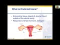 Myths & Misconceptions: Understanding Endometriosis and Uterine Fibroids Webinar