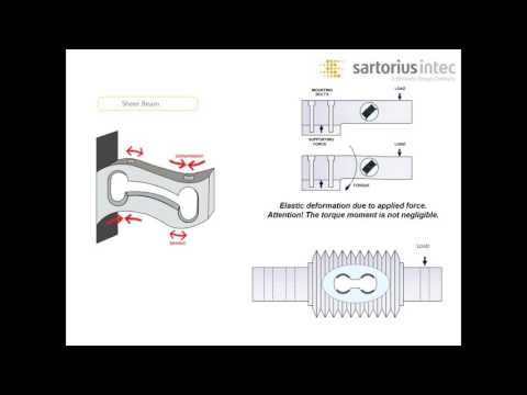 Lesman Webinar: Load Cells