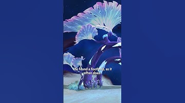 The War Within | The Doom of K’aresh, Chapter 1: The Voice from the Void