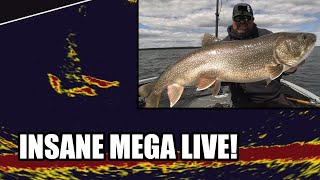 Best Mega-Live Footage Ever Captured?? | Big Lake Trout Action!