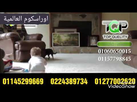 شركة ابادة حشرات اواسكوم العالمية