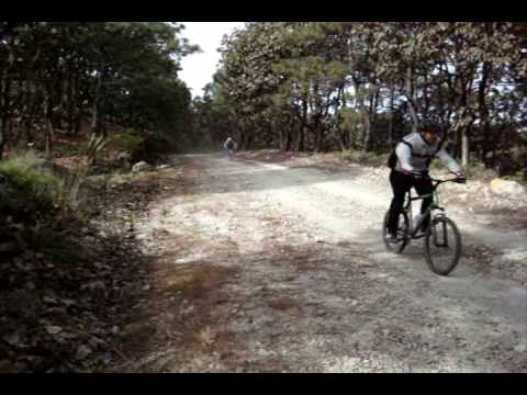 MTB PRIMATES - TORRE 1, BOSQUE PRIMAVERA