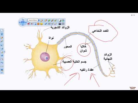 Drawview Download iboard interactive whiteboard Drawview Training - YouTube