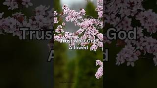 Trust What God Allowed