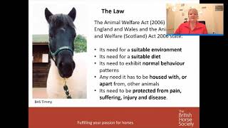Equine Welfare - From Reporting to Rehoming