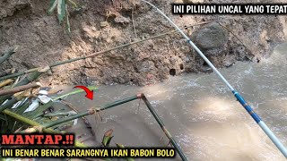 SARANG IKAN.!! MANCING NILEM BABON DI ARUS DERAS || GAK NYANGKA IKAN LELENYA KELAPARAN JUGA BRO