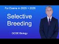 The Impact of Selective Breeding on Animals and Food Crops