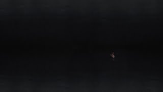 Fear