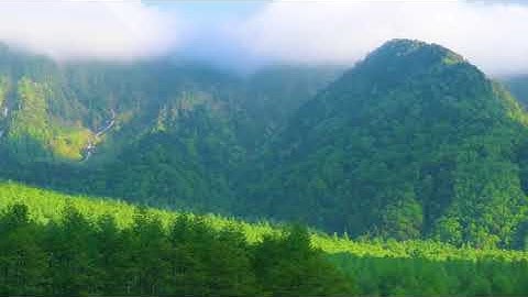 سورة الناس بصوت القارئ أحمد عامر