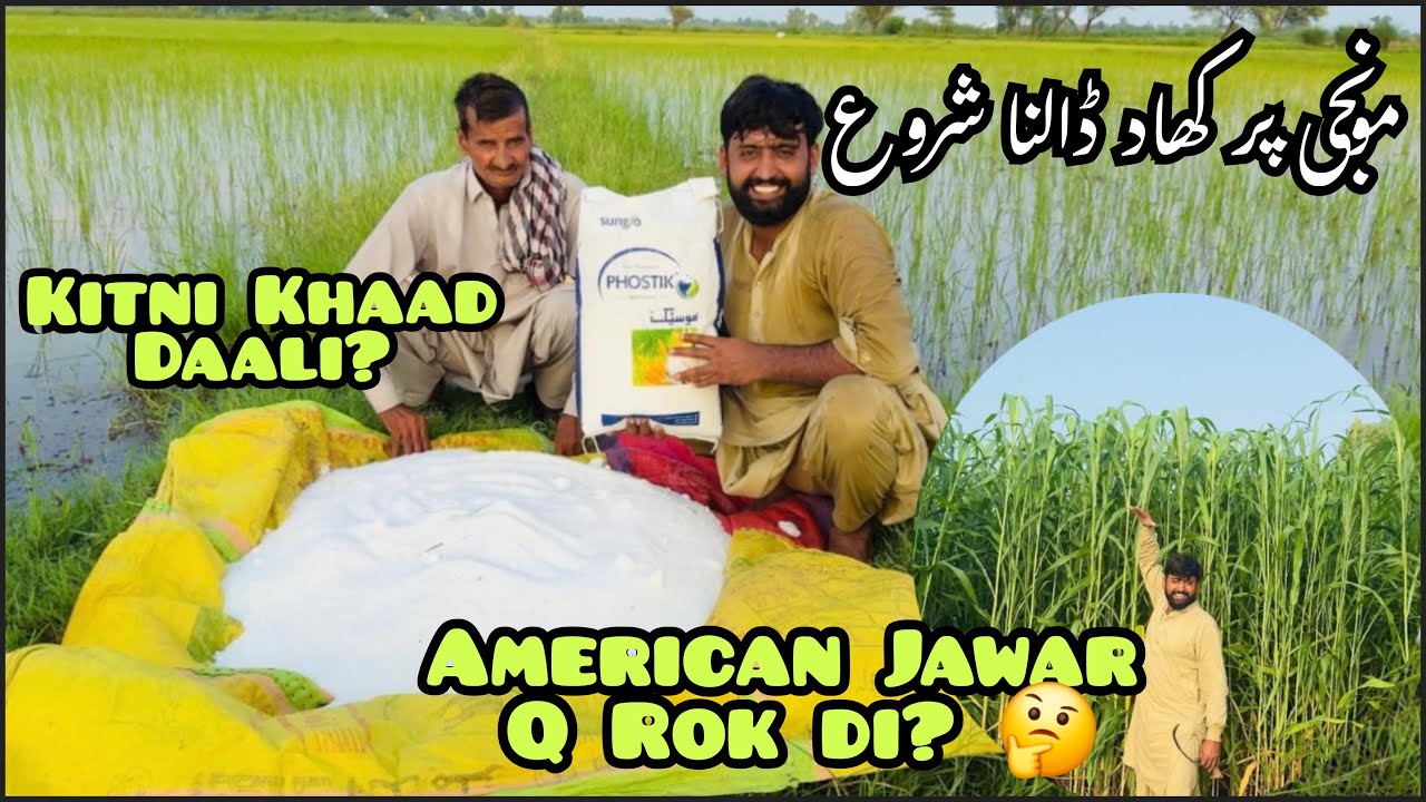 Aj kitni bori khad dali 🤔| khad dalne wala zakhmi ho gya🥵🥵