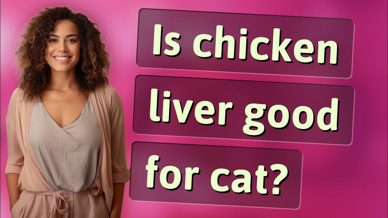Is Chicken Liver Good For Cat YouTube is-chicken-liver-good-for-cat-youtube