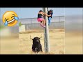 Funny fails pranks and funny peoples stunts in 2023 jo funclips 6