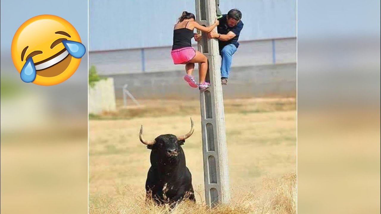 Funny Fails,😂 Pranks and Funny Peoples Stunts in 2023! Jo Funclips #6