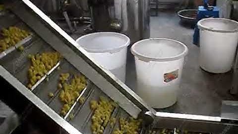 Chips Peas Groundnuts Broad Beans Frying Line|Fried Nuts Processing Machine