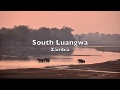 South Luangwa, Zambia