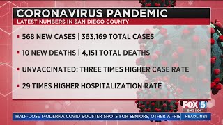 568 New COVID Infections, 10 More Virus Deaths Reported In San Diego County