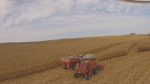 Corn Harvest 2016 - Case IH 2388 - DJI Phantom 2